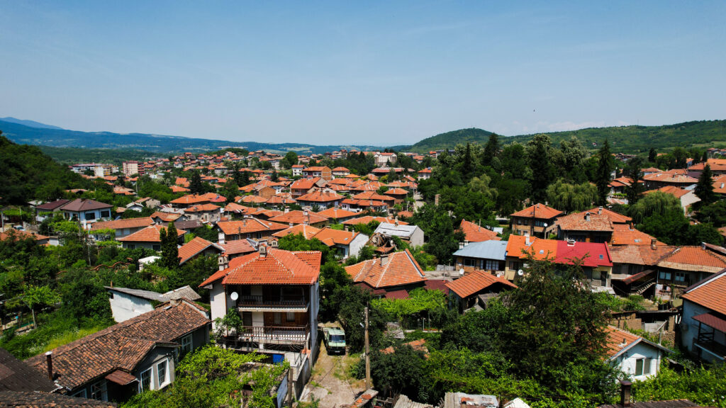 SEO оптимизация, реклама dji 0104 edited - olO.bg